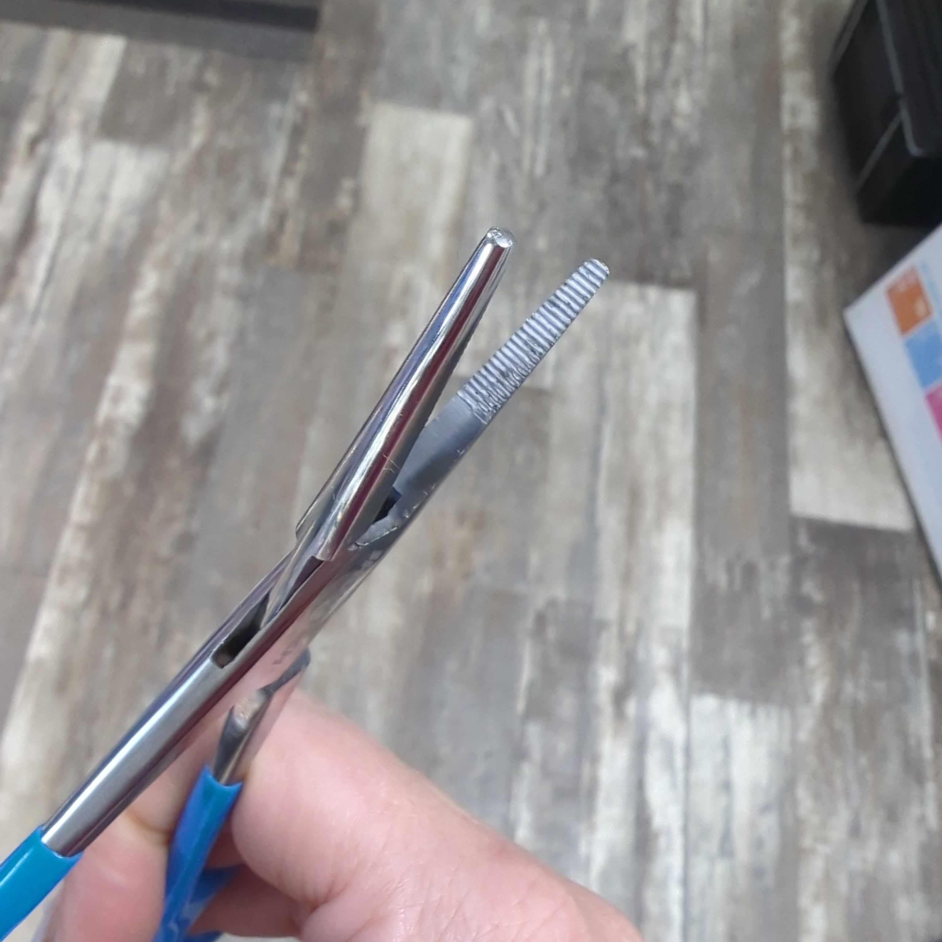 Show Tech Comfort Ear Forceps