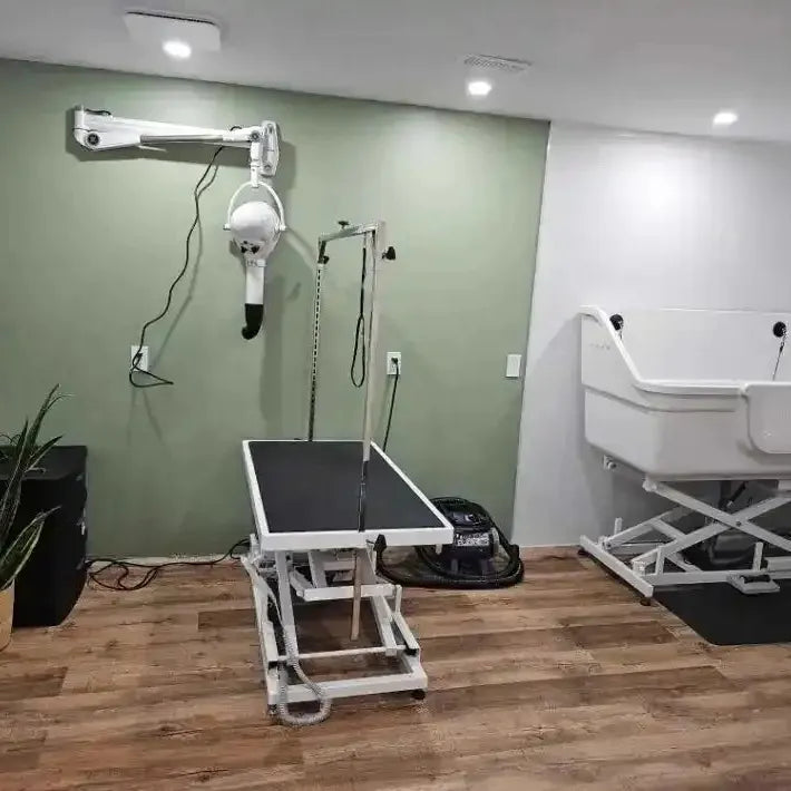 Aeolus Anionic Wall mounted Fluff Dryer