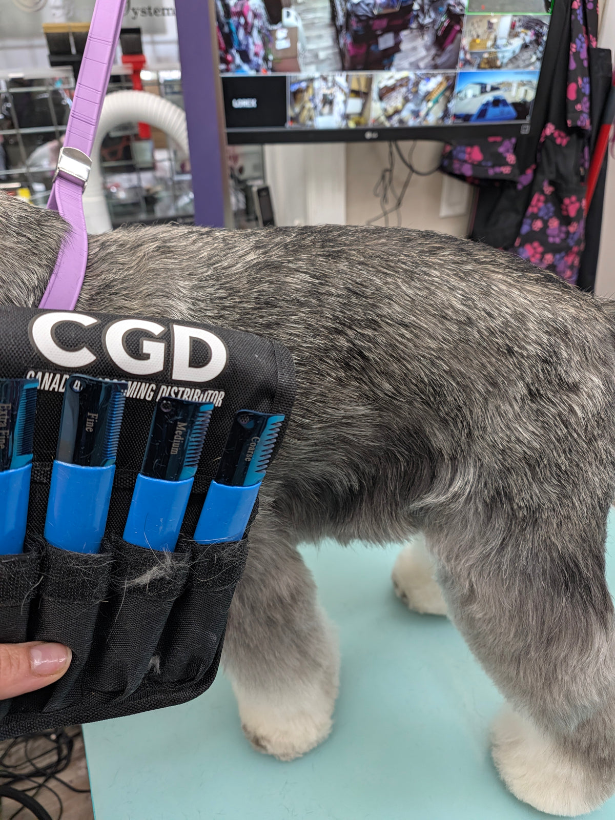 CGD Blue Stripping knives 4 pc set