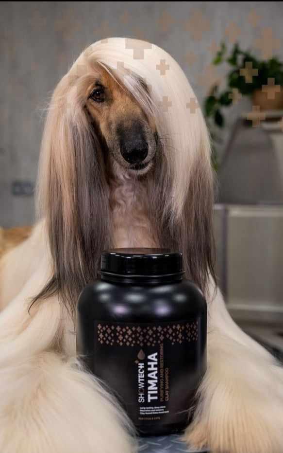 Show Tech+ Timaha Clay Shampoo