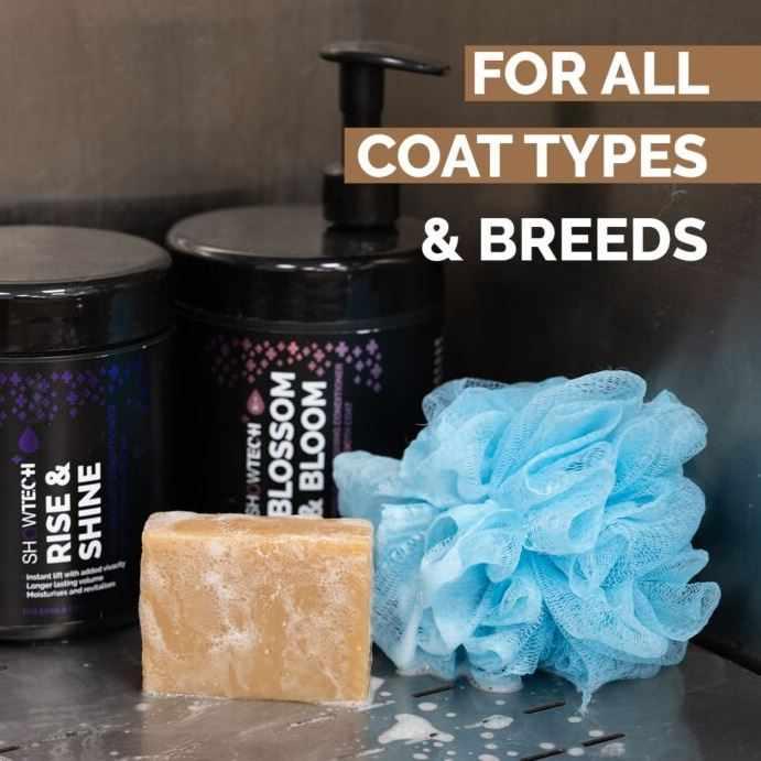 Medium Shop Tub & Table