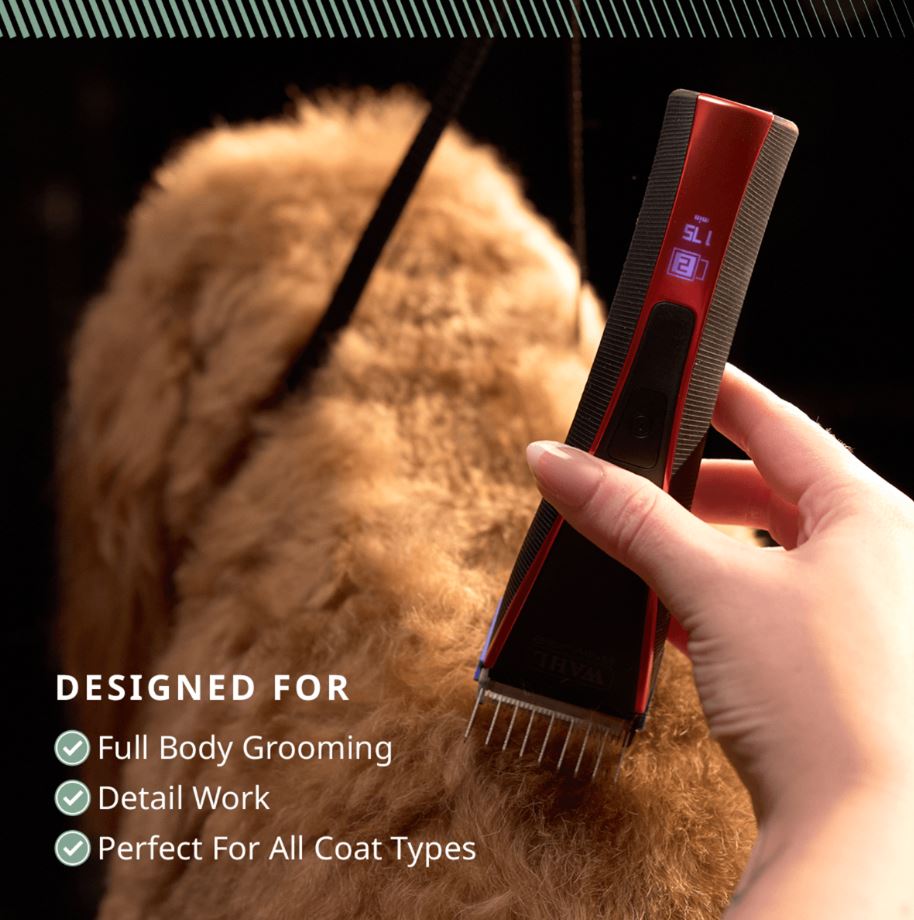 Tondeuse sans fil Wahl Lithium Bravura