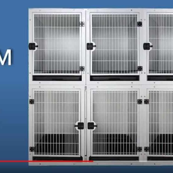 White Groomers Cage Bank