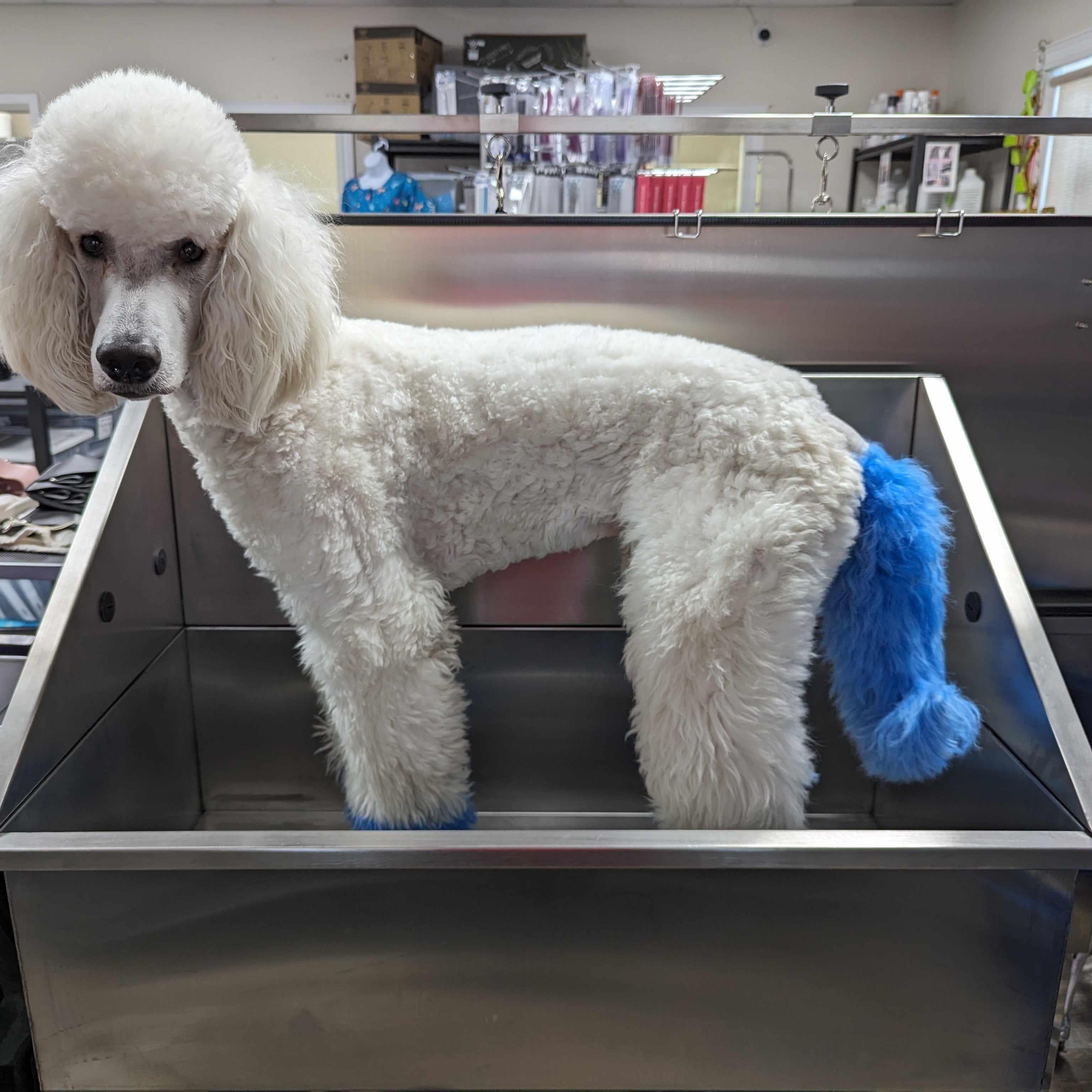 Small Stainless steel Tub