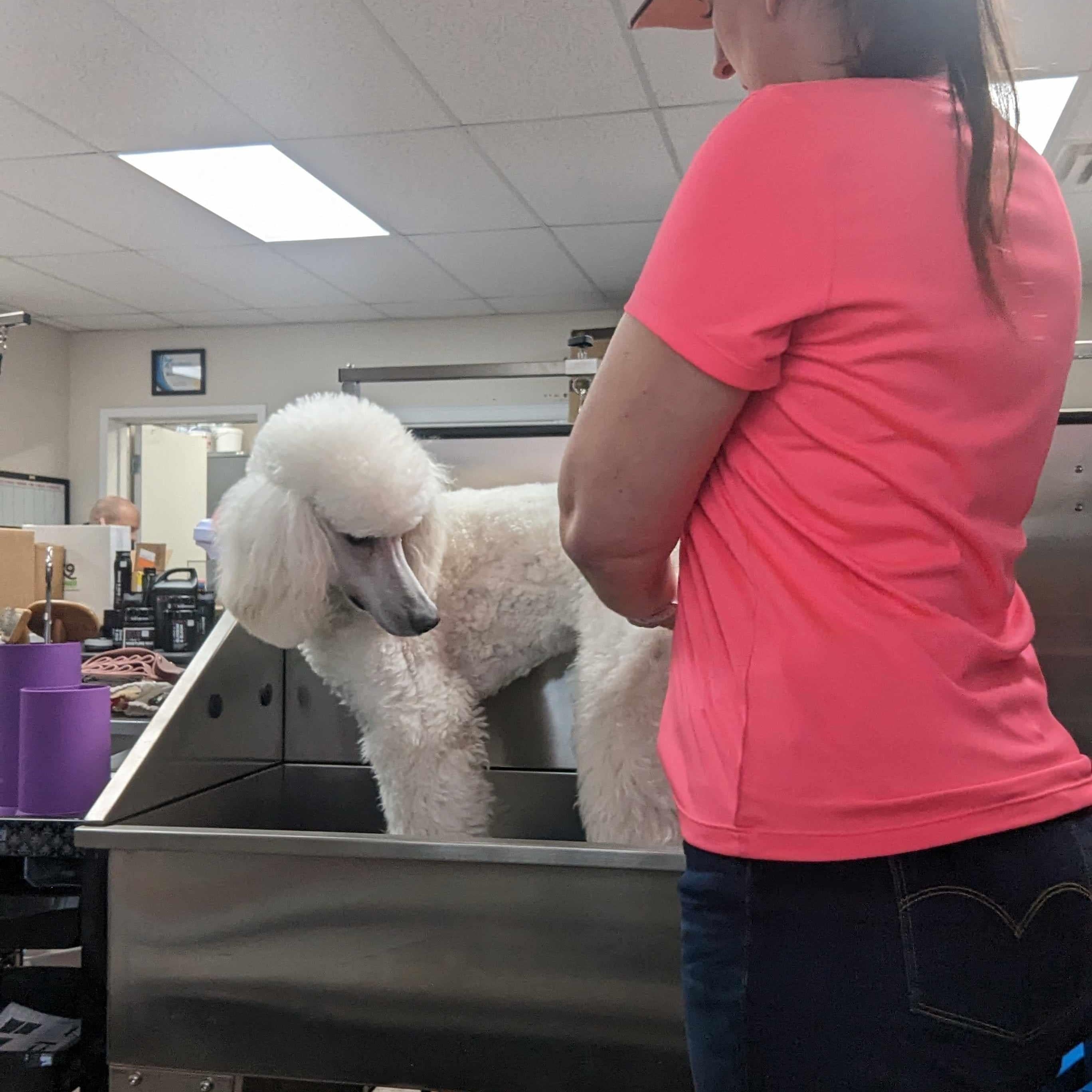 Small Stainless steel Tub