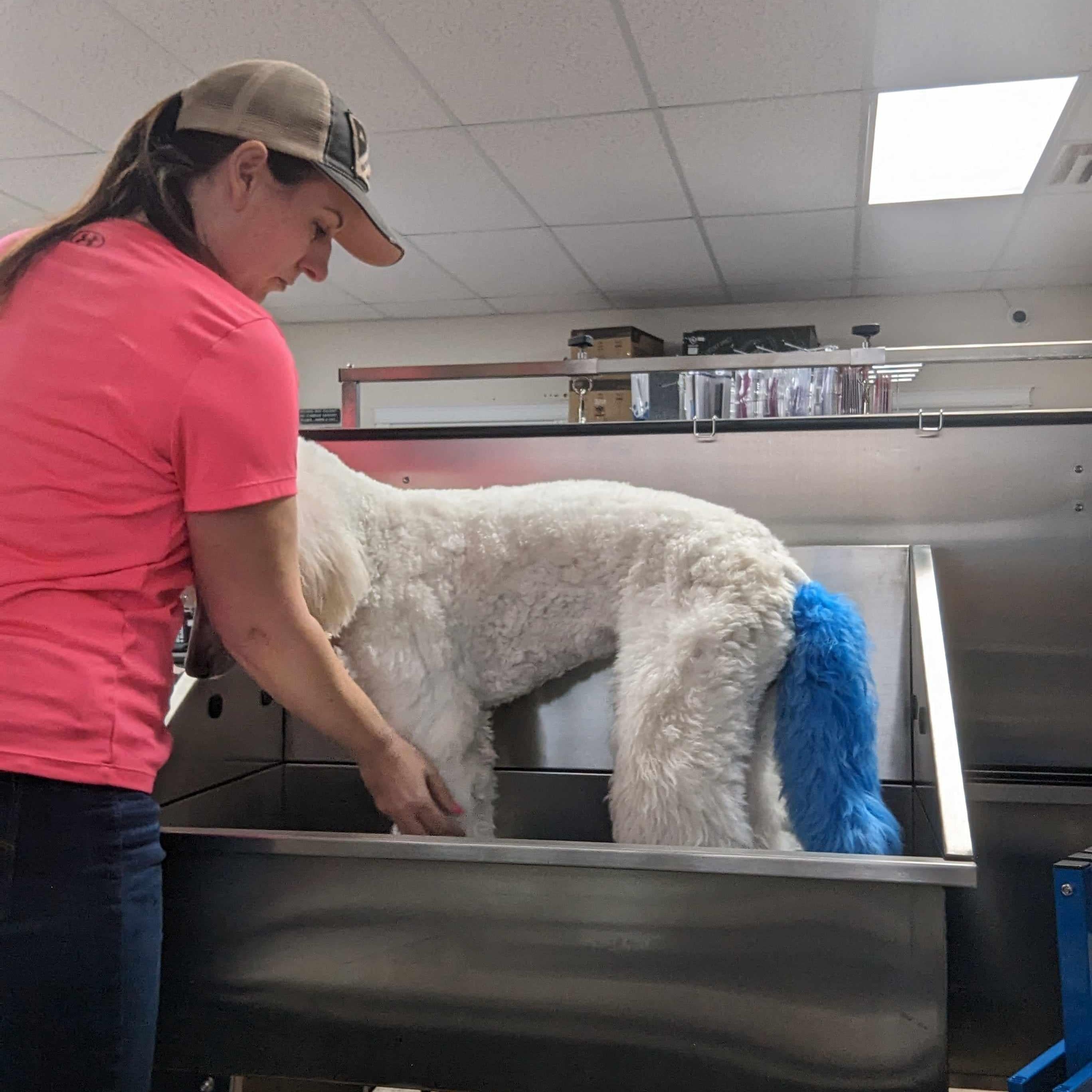 Small Stainless steel Tub