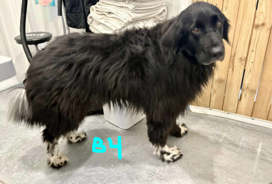 Spray démêlant et finition Hydra