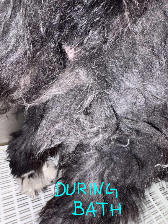 Spray démêlant et finition Hydra