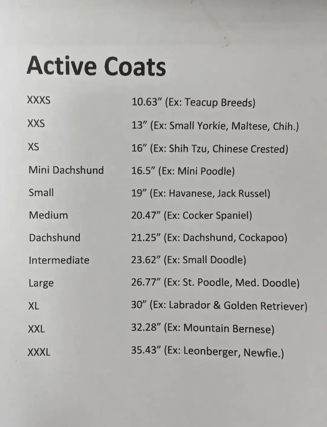 Show Tech Active Coat -Turquoise