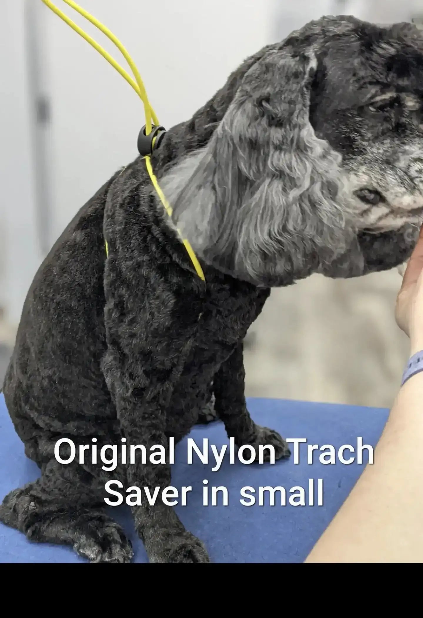 Trach Saver- Vinyl
