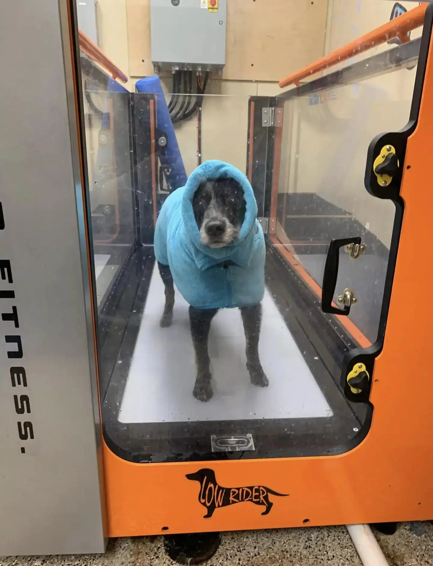 Show Tech Active Coat -Turquoise