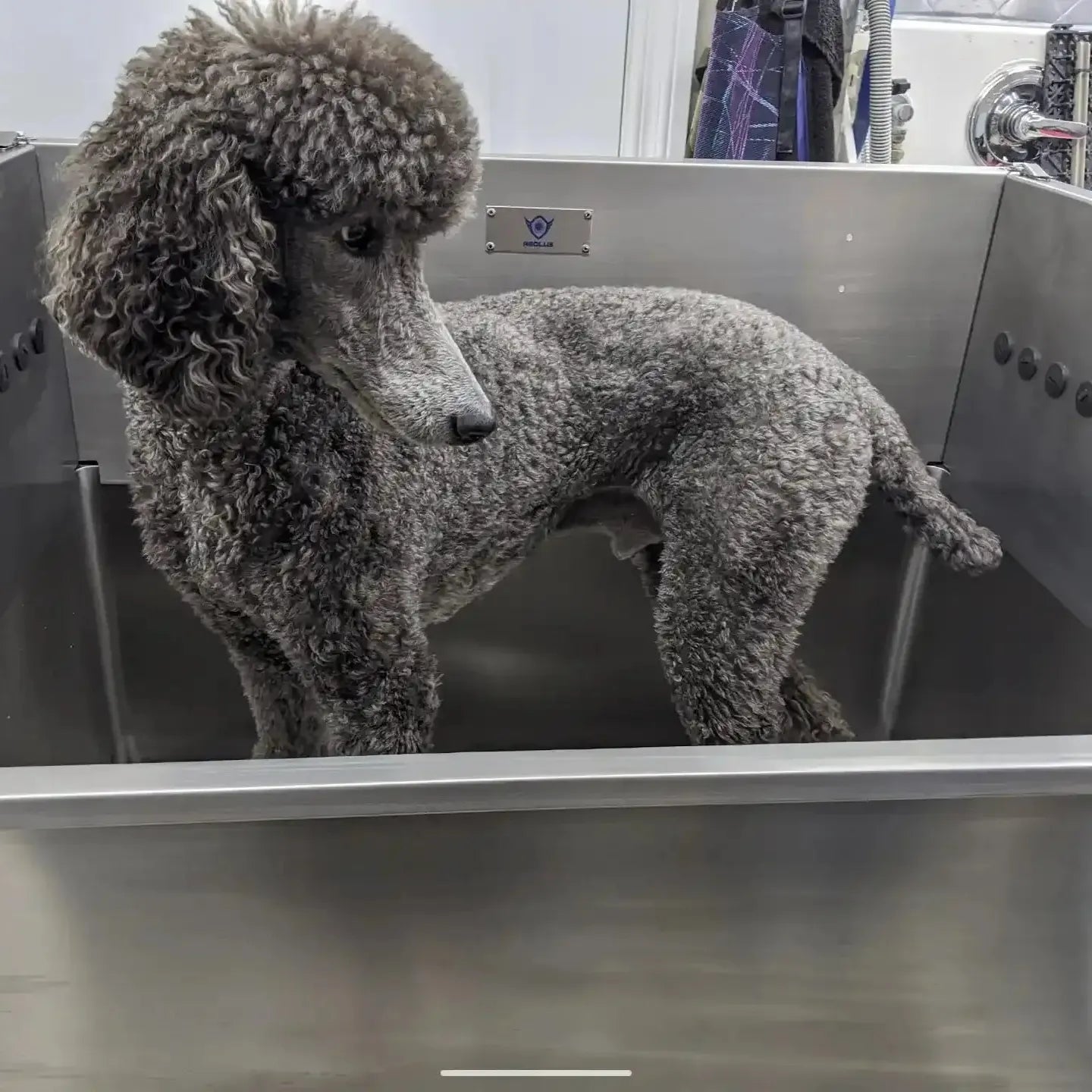 Medium Stainless steel Tub