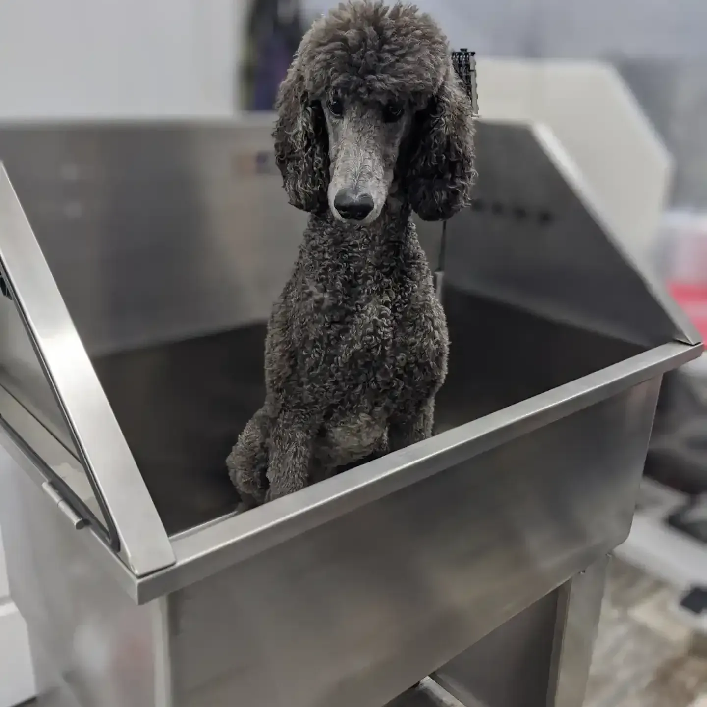 Medium Stainless steel Tub