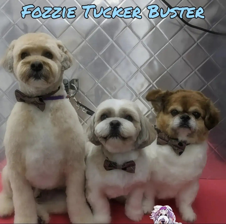 Summertime Fun Bowties