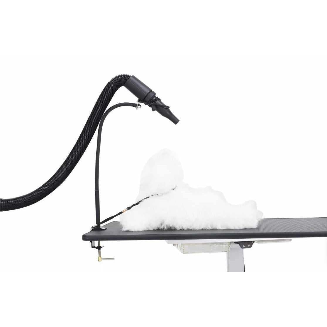 Hair dryer & HV Hose Holder