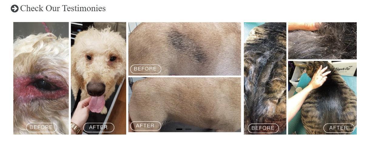 Nagayu C02 Tabs-Coconut