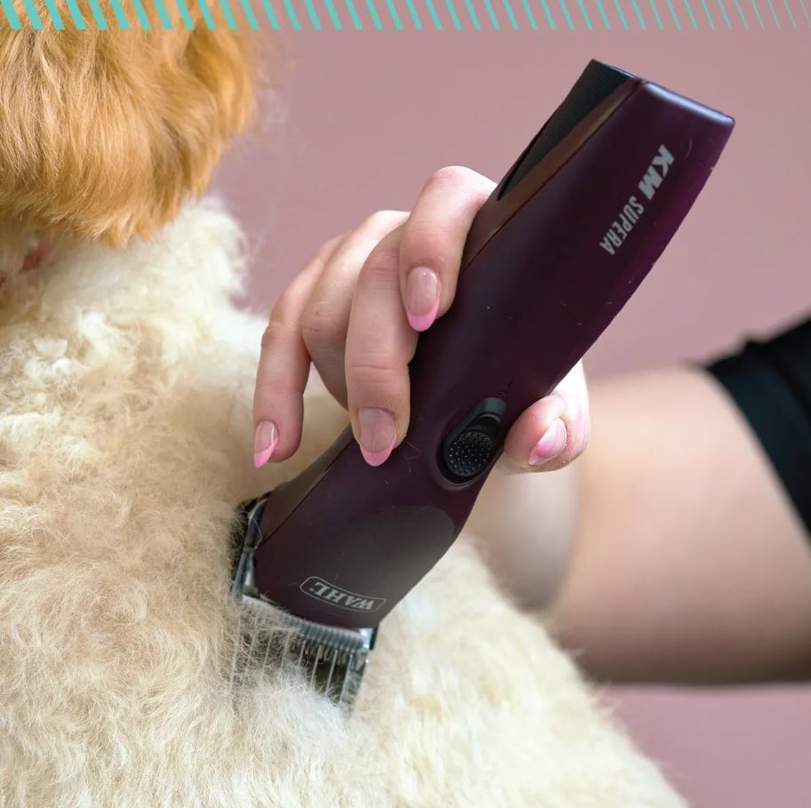 Wahl KM Supera