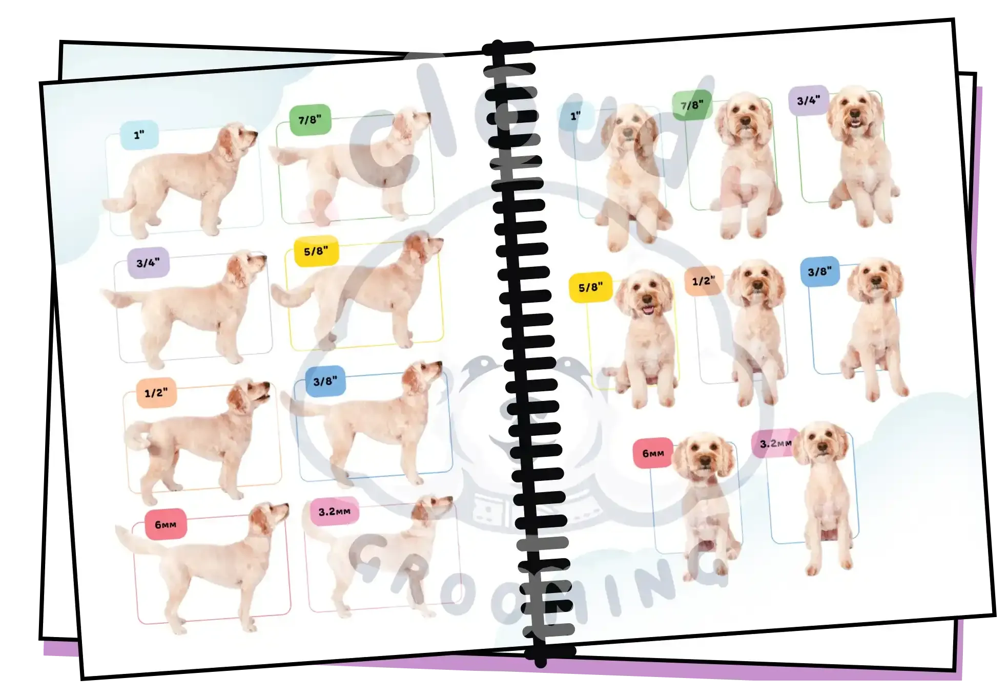 Cloud Grooming Guide