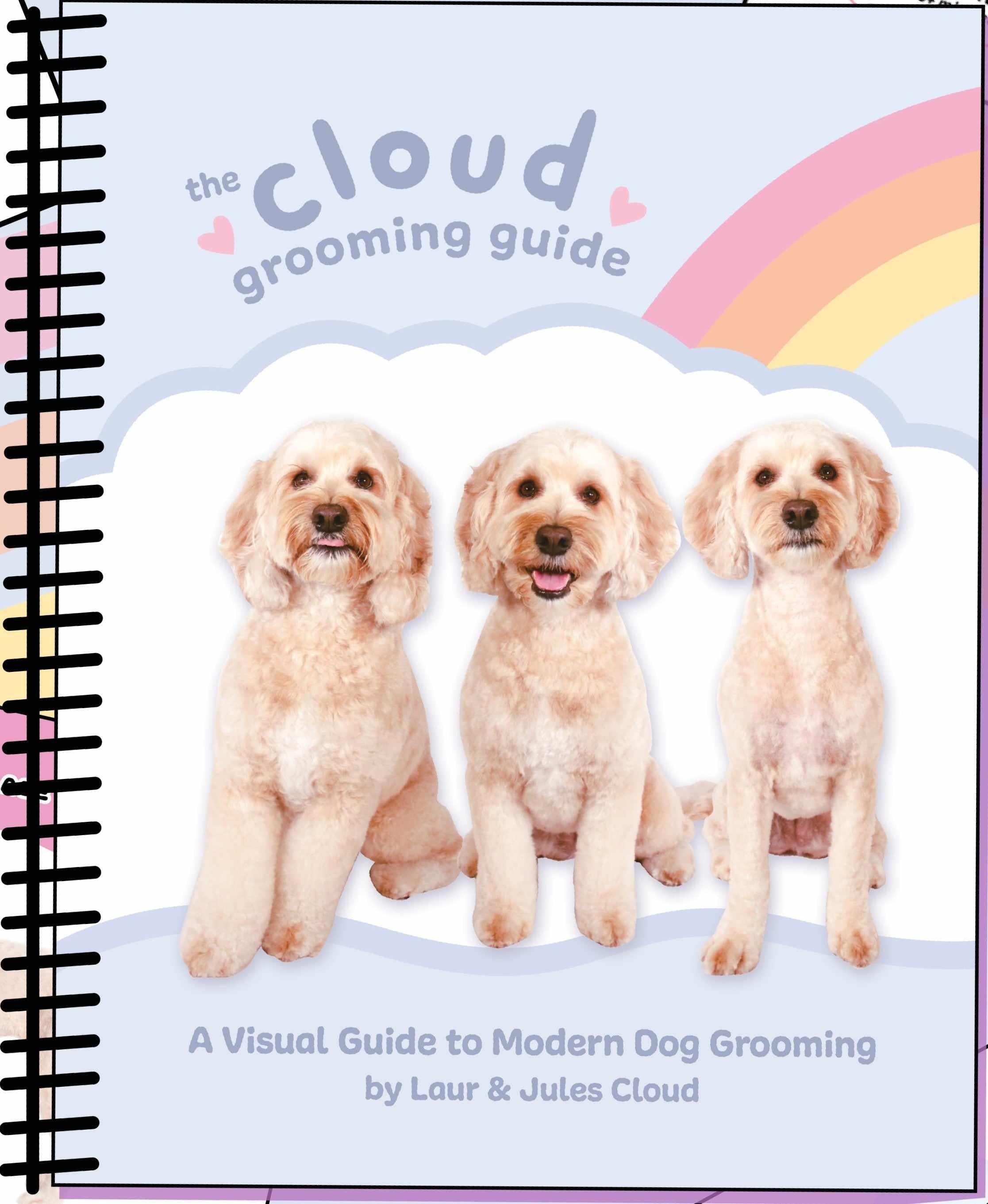 Cloud Grooming Guide