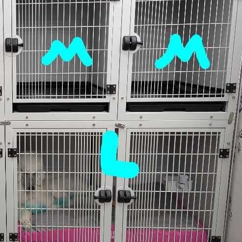 White Groomers Cage Bank