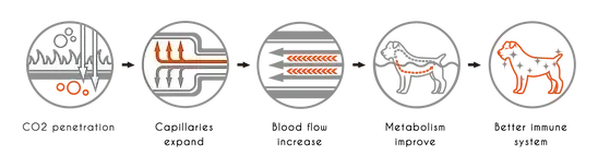 Nagayu Nozzle sprayer