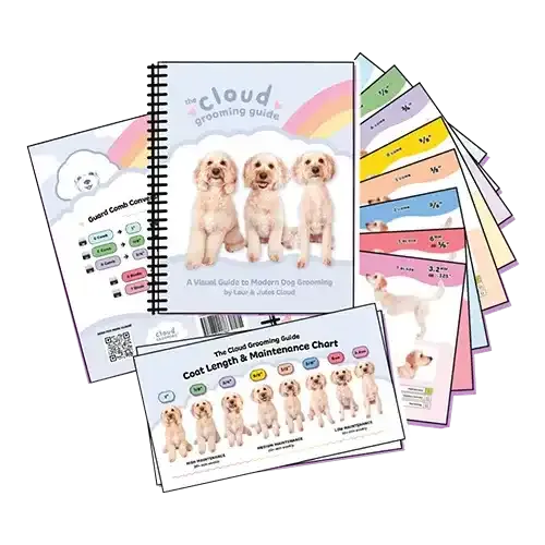 Cloud Grooming Guide