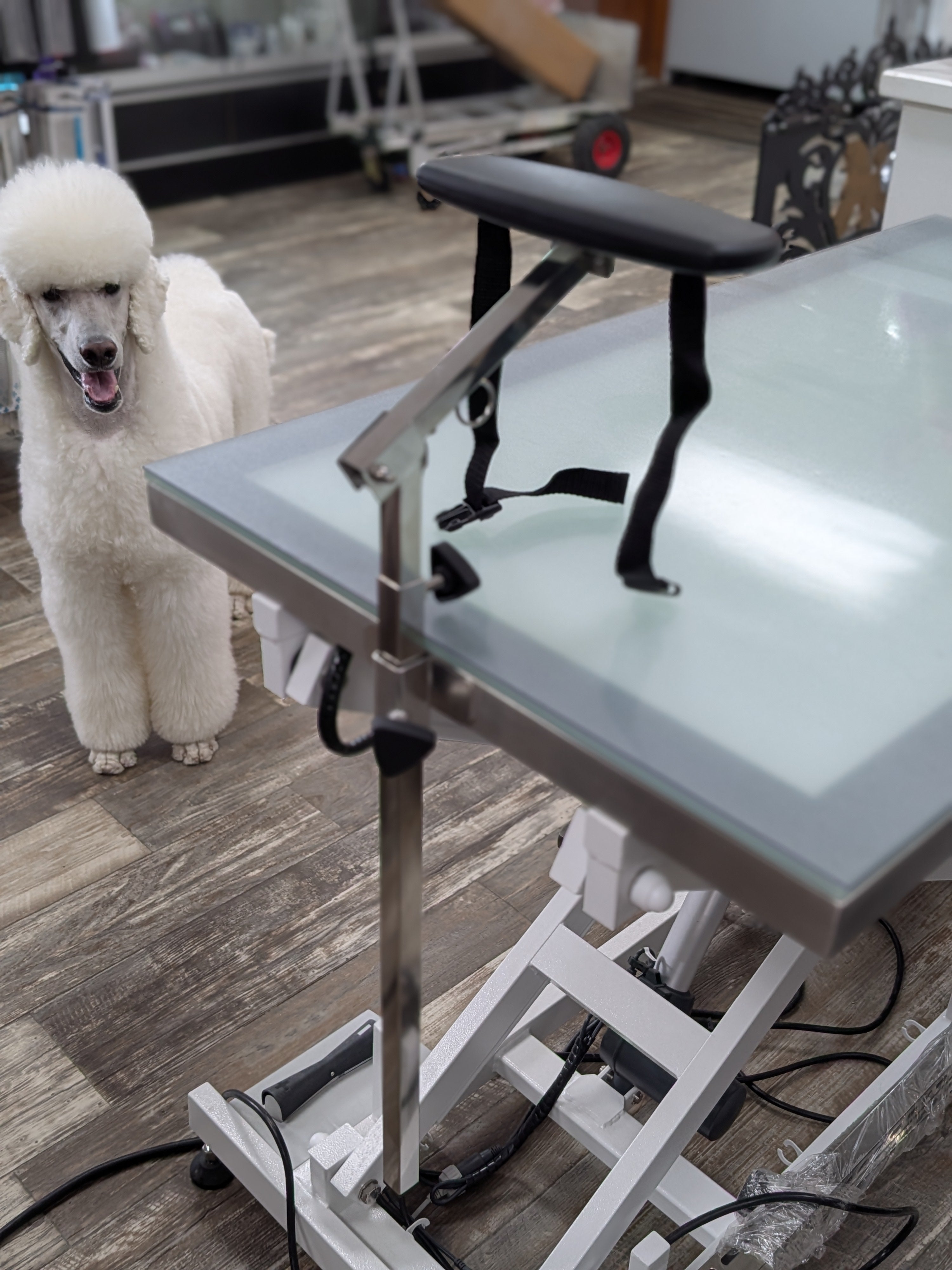 Bras de toilettage repose-menton et fesses