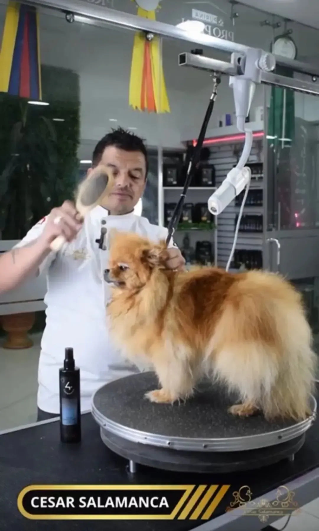 Neck Breeze Fluff Dryer