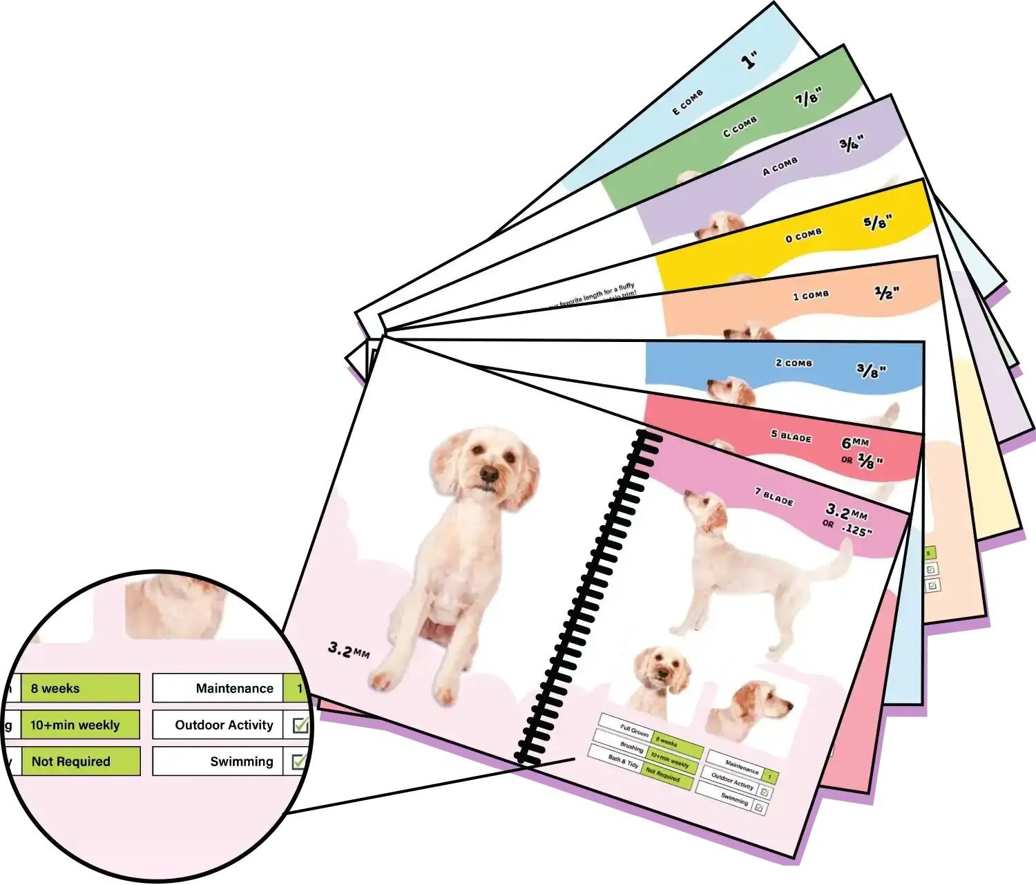 Cloud Grooming Guide