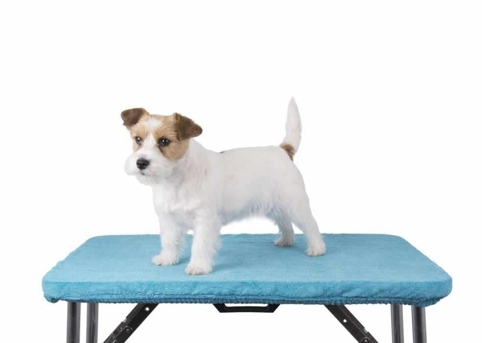 Show Tech Table Toga