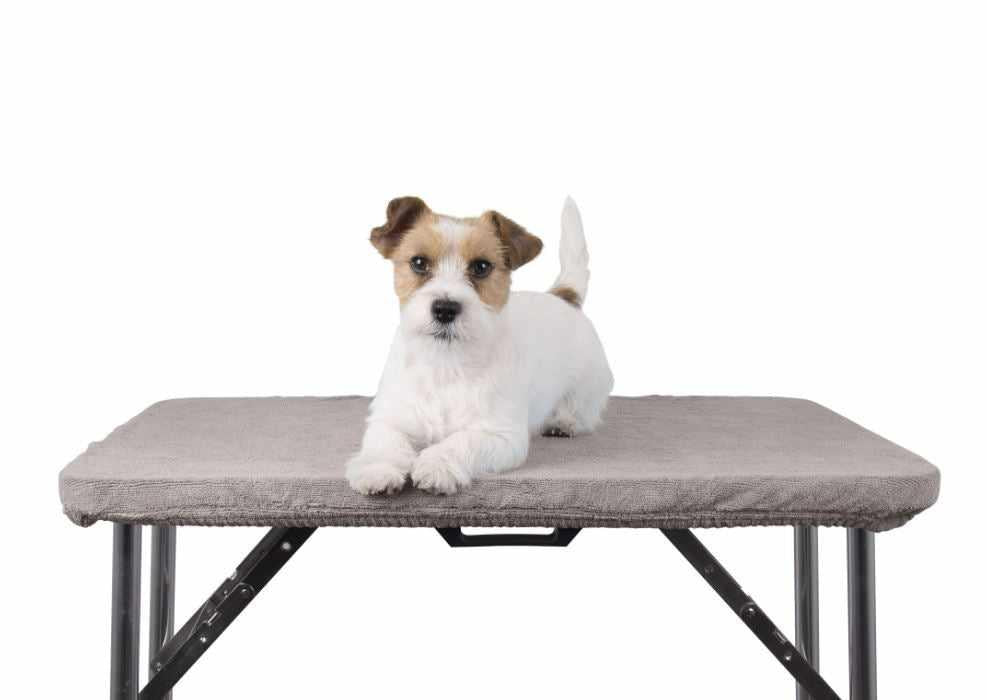 Show Tech Table Toga