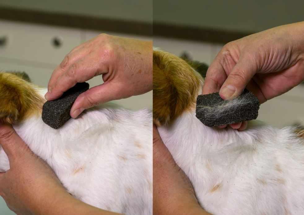 Show Tech Stripping Stone