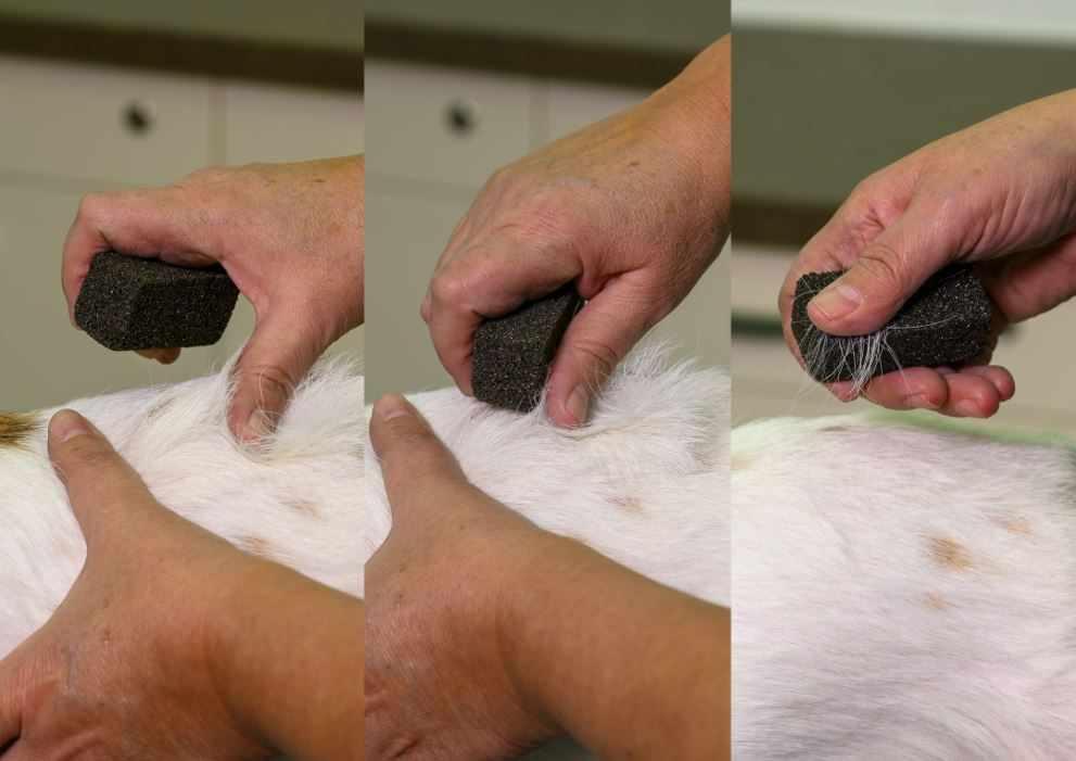 Show Tech Stripping Stone