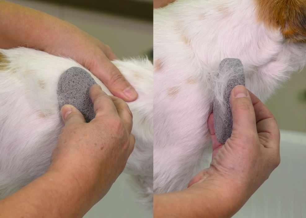 Show Tech Groom Stone Round - Grey