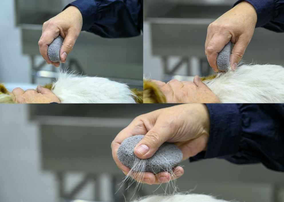 Show Tech Groom Stone Round - Grey