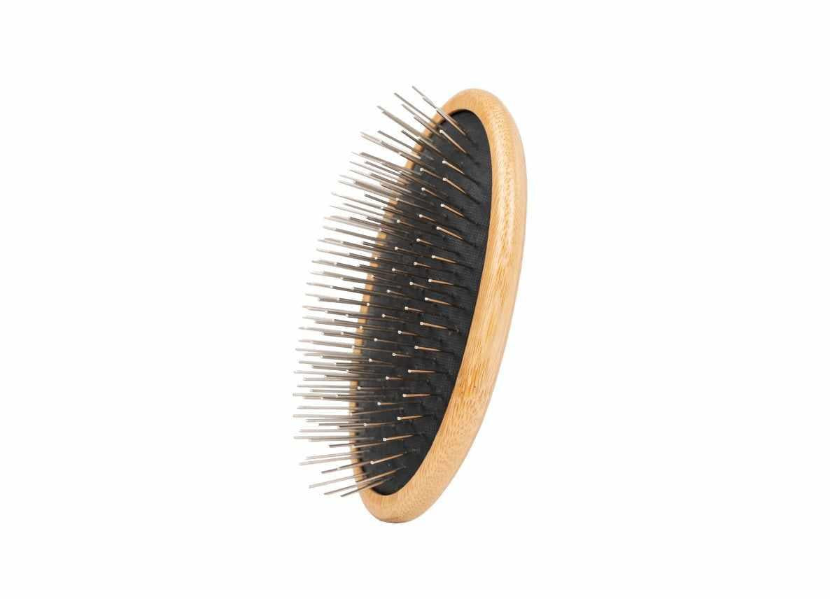 The Sentinel T31 Eco STYLE Palm Brush