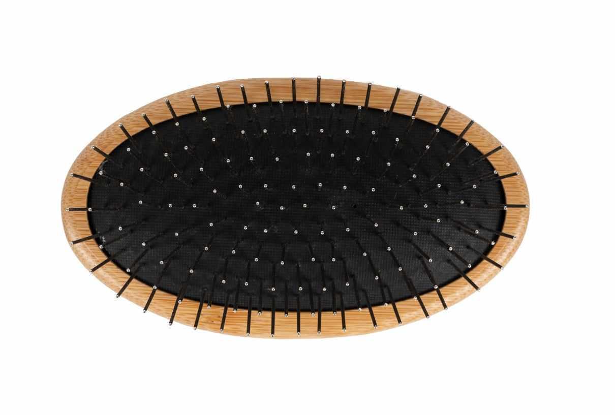 The Sentinel T31 Eco STYLE Palm Brush