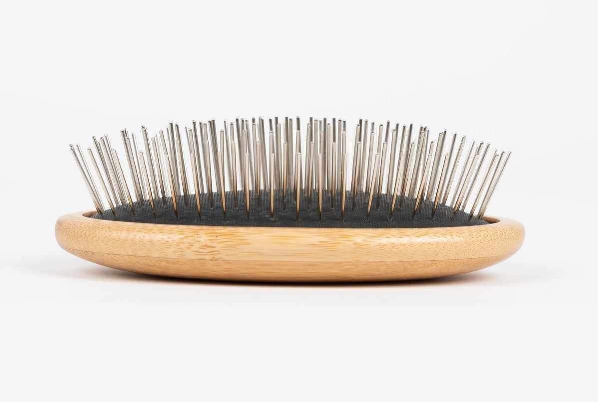 The Sentinel T31 Eco STYLE Palm Brush