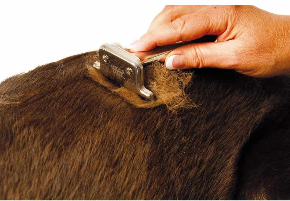 Shed Stopper Deshedding Tool