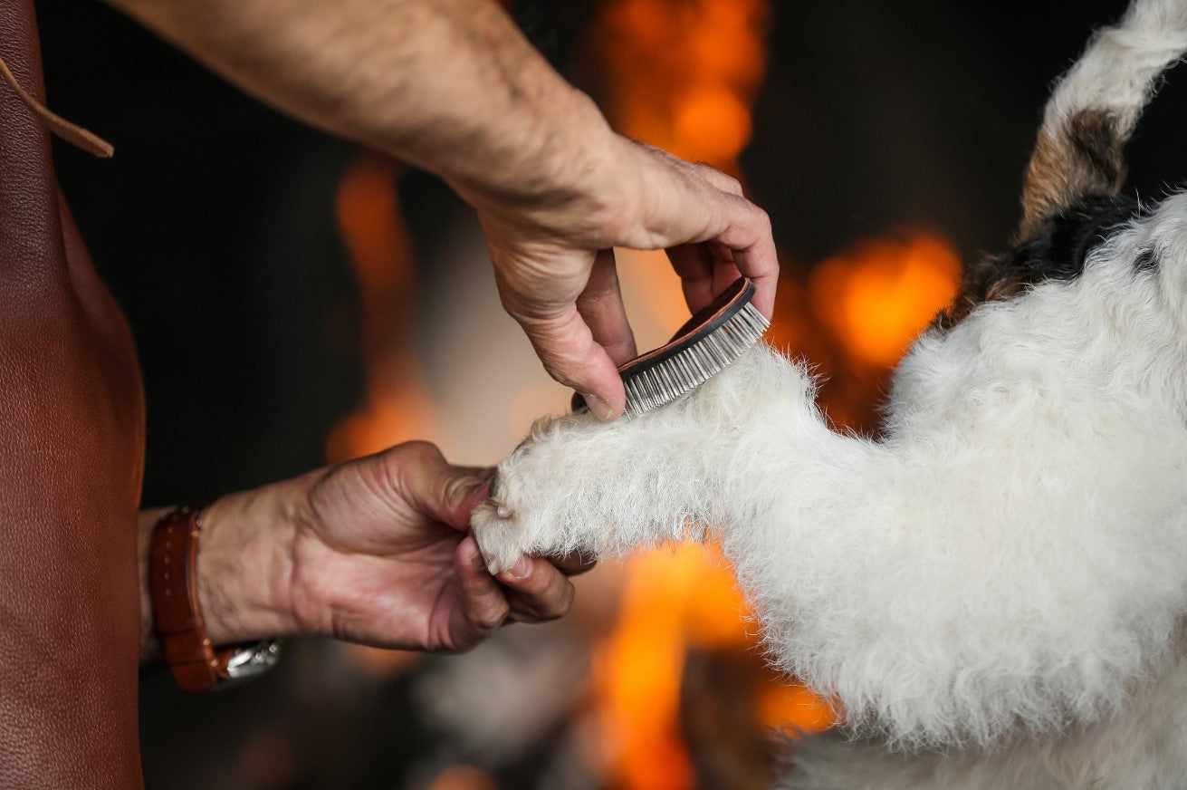 The Sentinel Terrier Pad