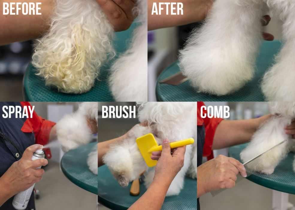 Quick Clean Dry Shampoo