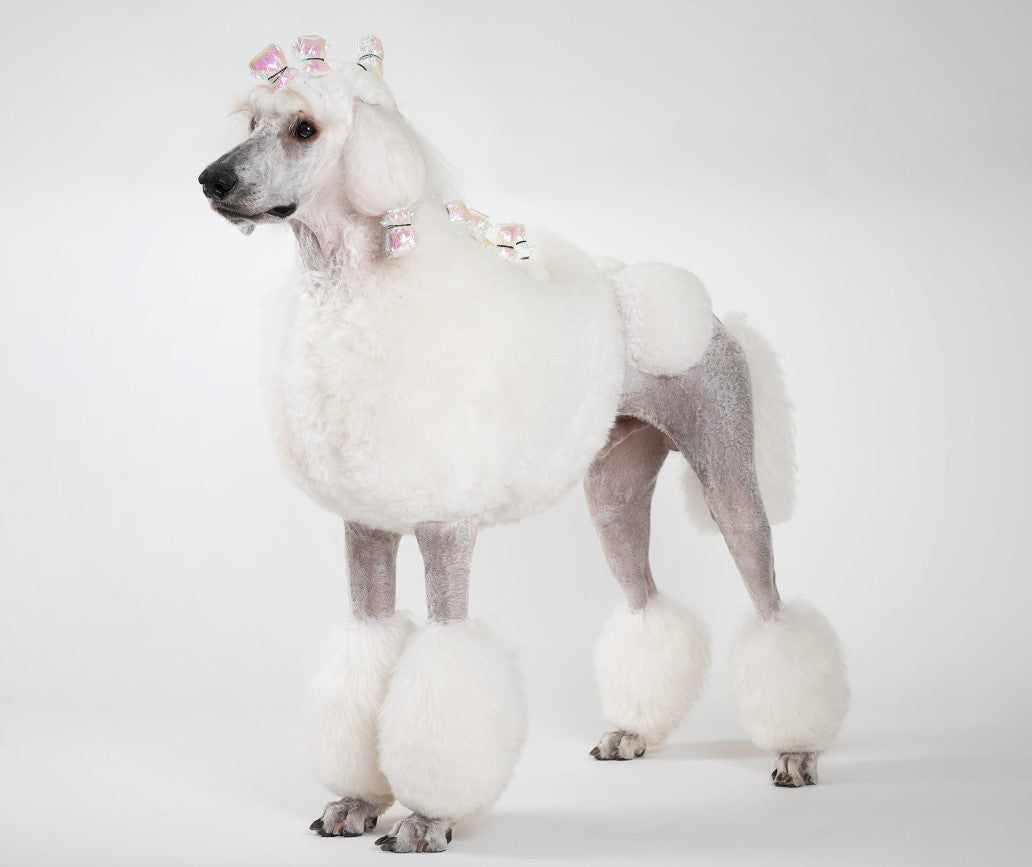 Show Tech Holographic Wraps