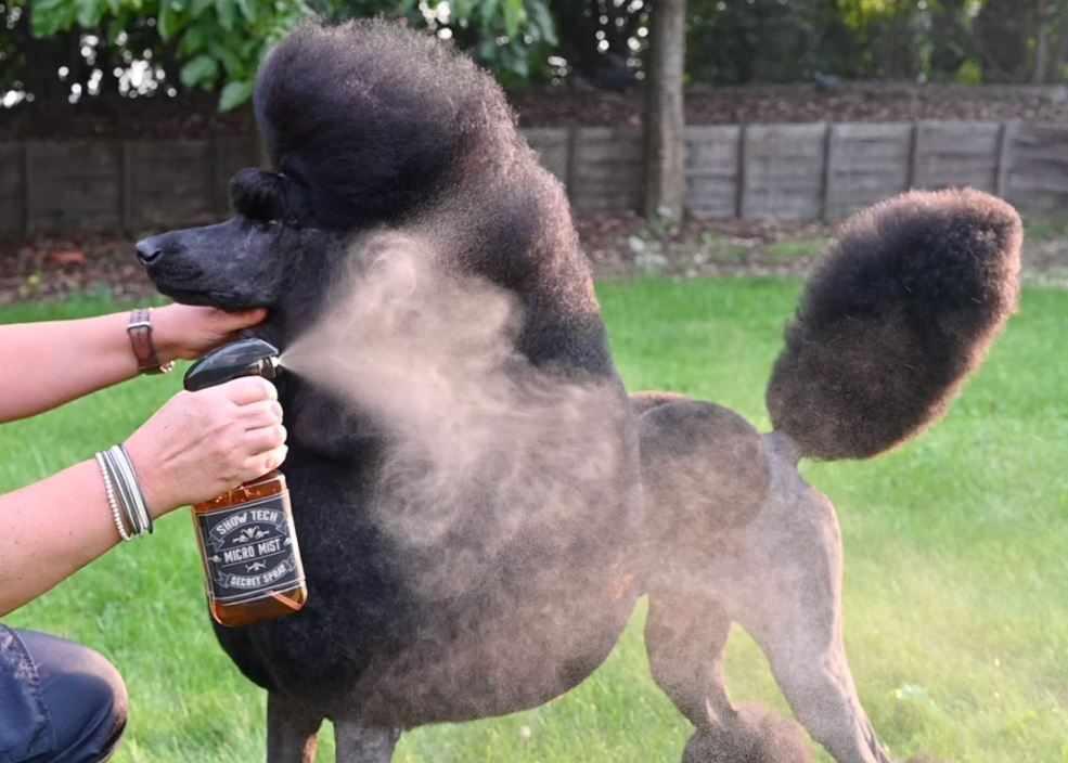 Show Tech Micro Mist Retro Bottle-Brown