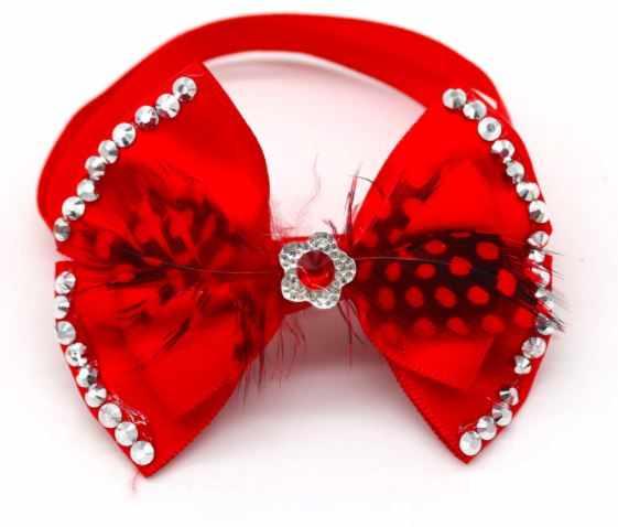 Feather & Rhinestone Bowties