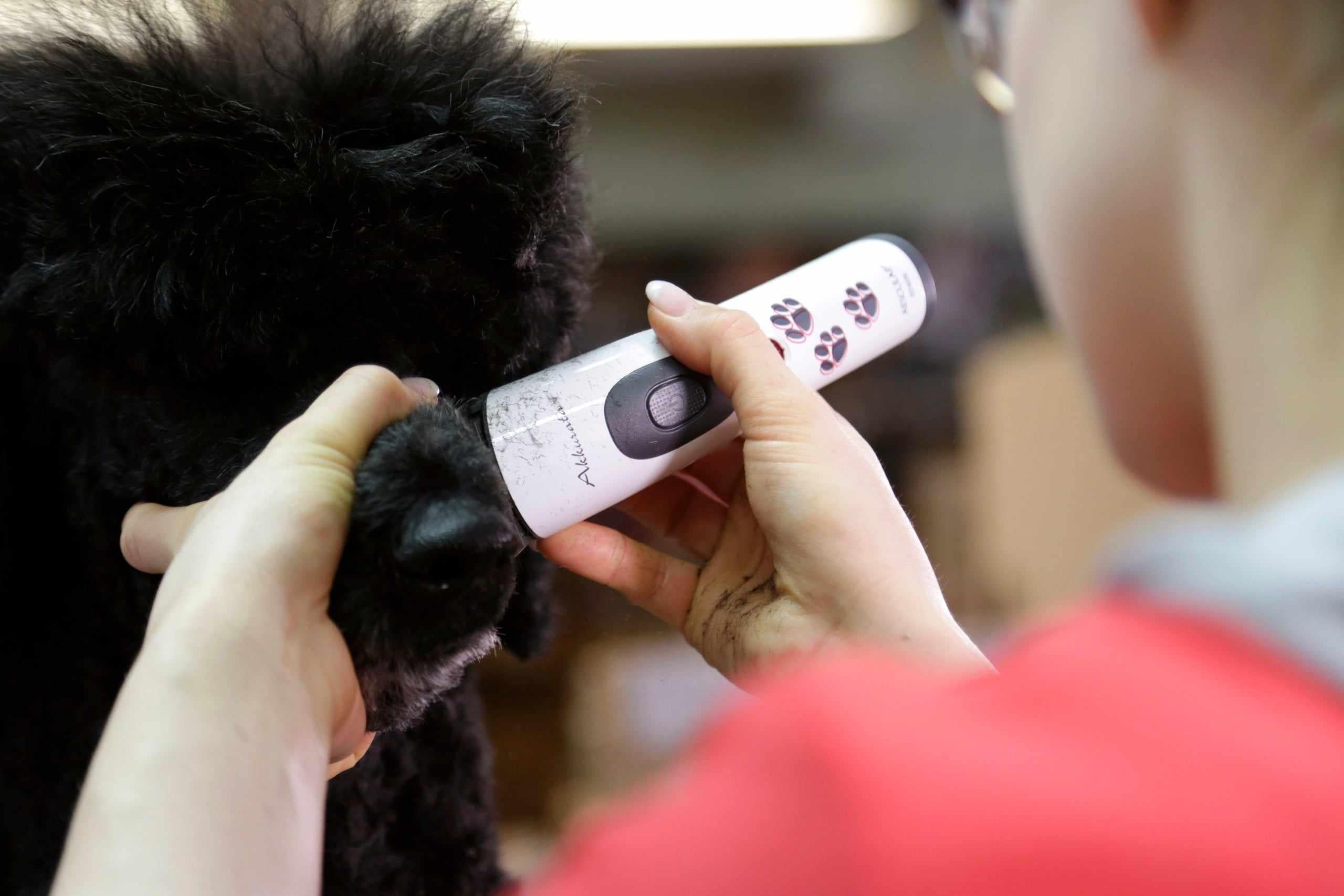 Aesculap Akkurata Cordless