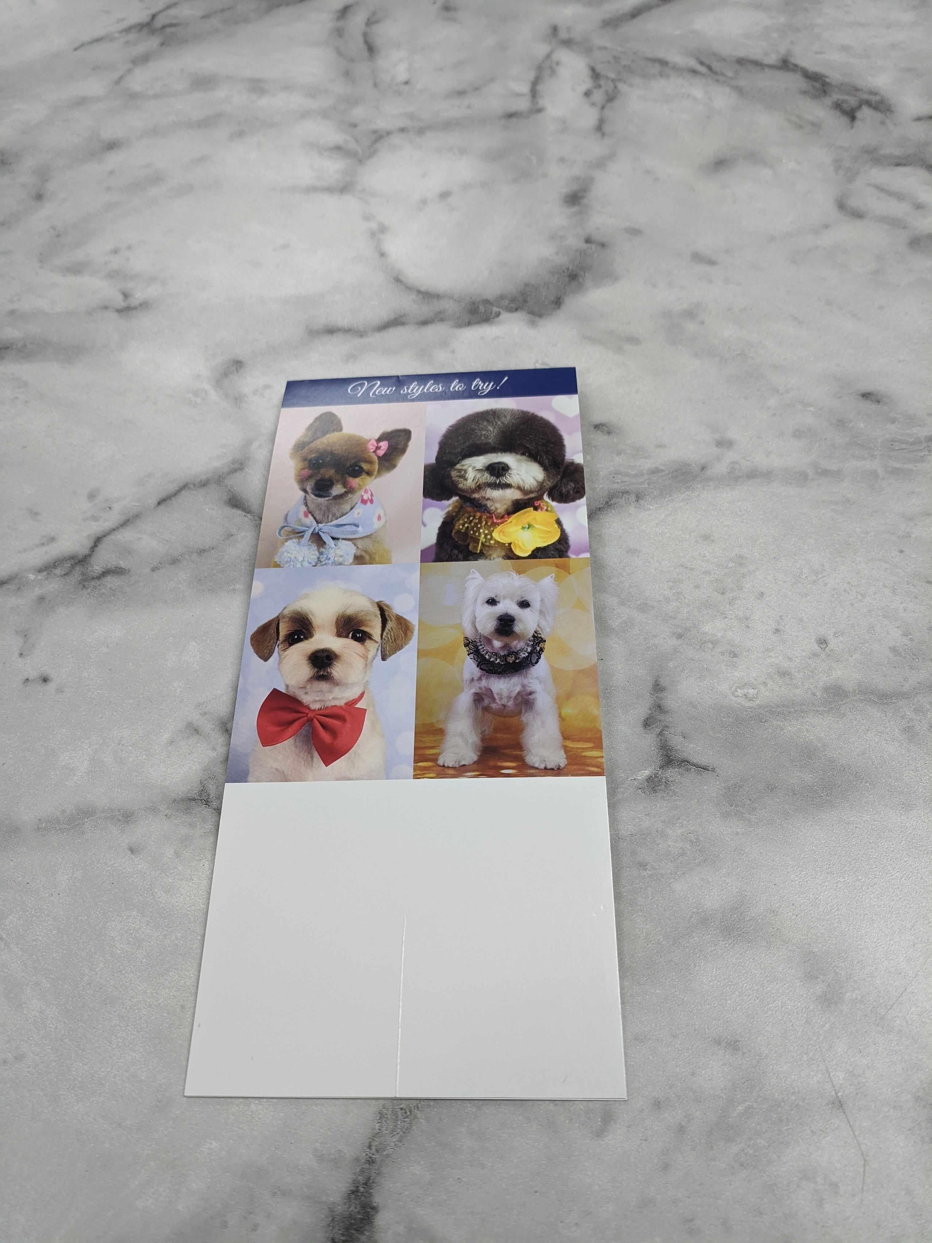 Asian Style Grooming Marketing materials