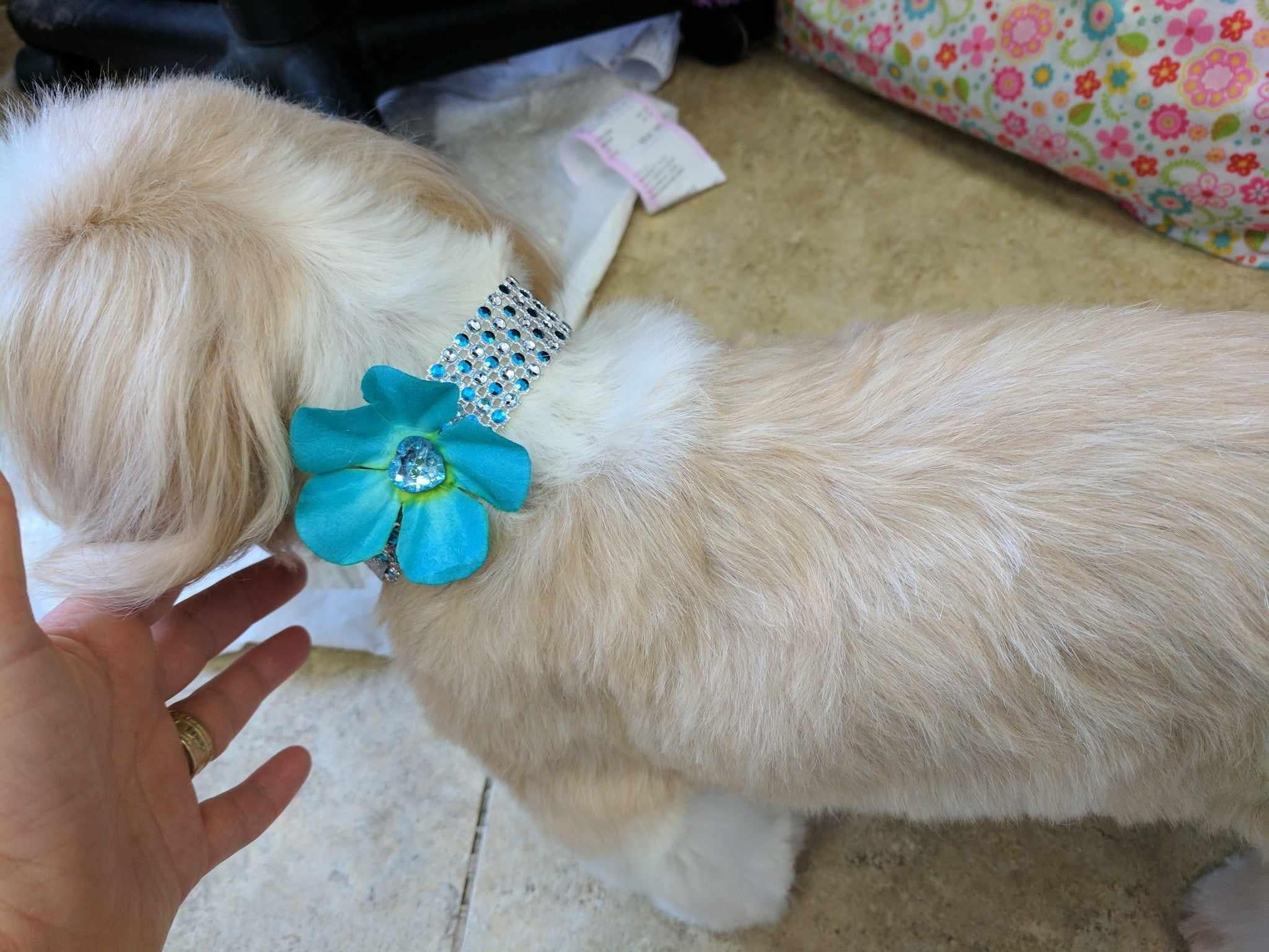 Sparkle Wrap Collars- Flower Power collection