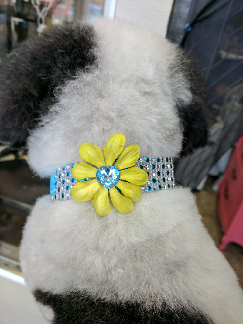 Sparkle Wrap Collars- Flower Power collection