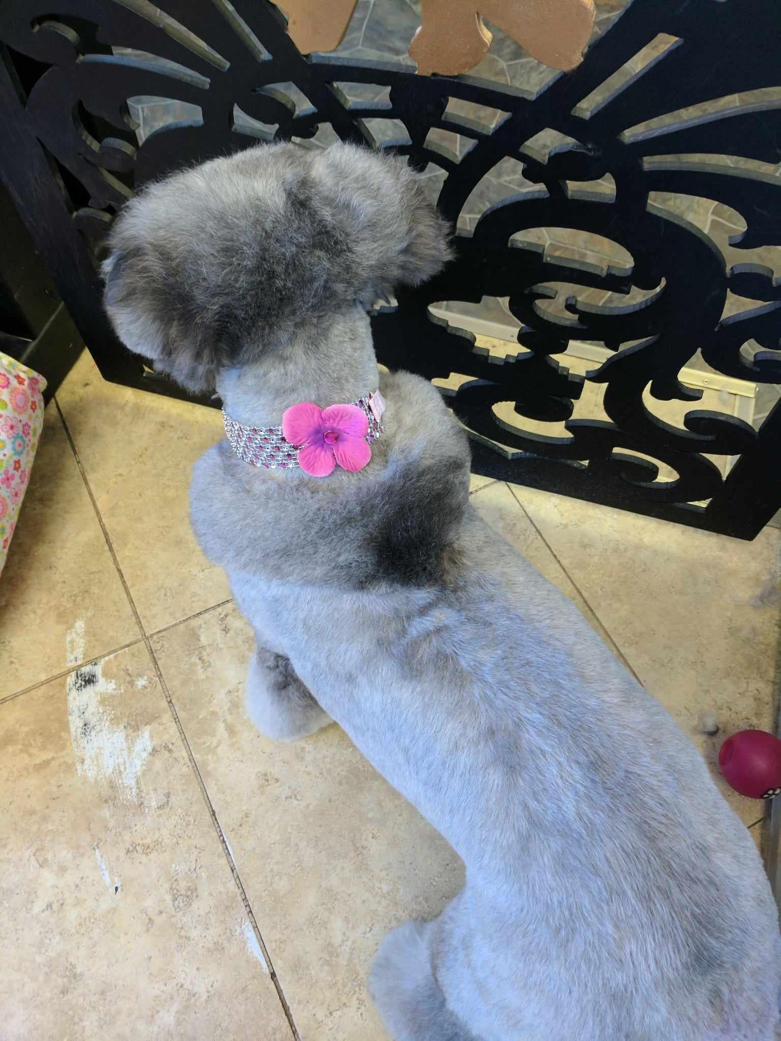 Sparkle Wrap Collars- Flower Power collection