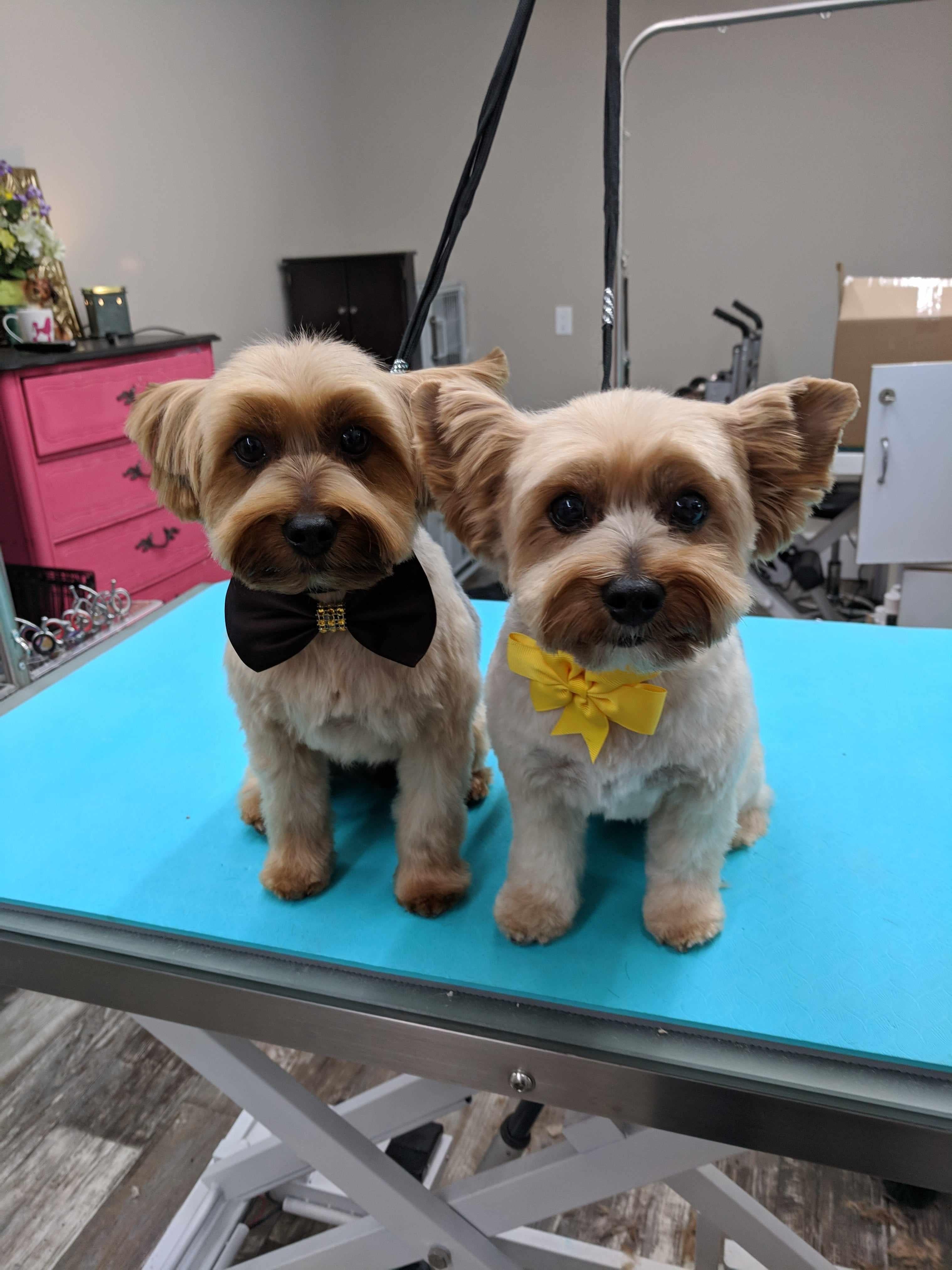 Spaw pad - antiPAWtigue table mat